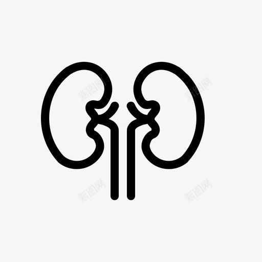 肾脏尿液器官图标svg_新图网 https://ixintu.com 人类 动物 医学 器官 尿液 肾脏 膀胱 过滤