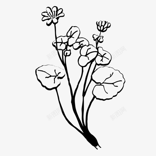 药草药用植物图标svg_新图网 https://ixintu.com 药用植物 药草