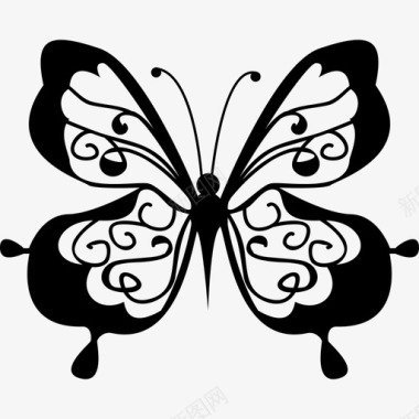 可爱的蝴蝶俯视图动物蝴蝶图标图标