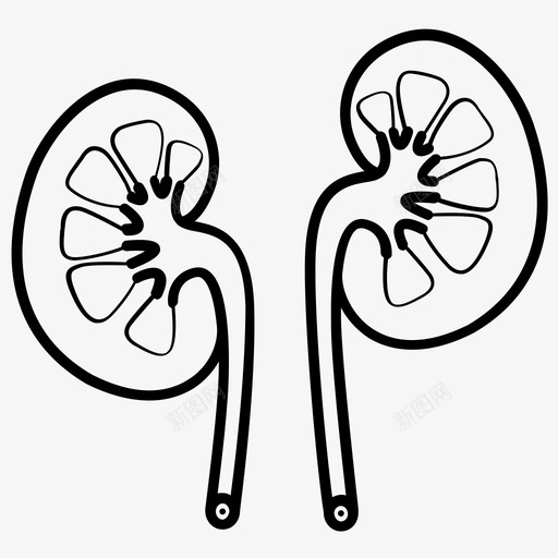 肾尿结石图标svg_新图网 https://ixintu.com 人 器官 尿 成对 生命 结石 肾 腰部 腹部 重要