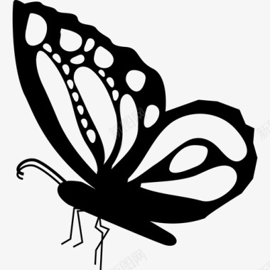 蝴蝶美丽的侧视形状翅膀上有装饰图案动物图标图标