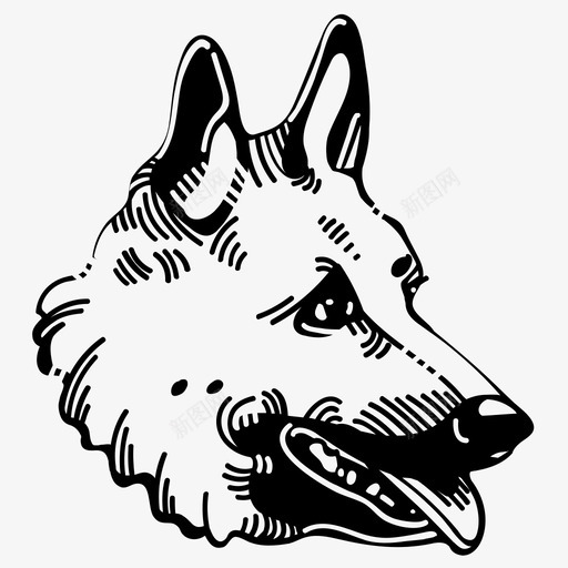 比利时拉克努瓦时尚干燥图标svg_新图网 https://ixintu.com akc akc狗品种 干燥 时尚 最好的朋友 比利时拉克努瓦 沿着 派 狗 狗品种 蛋糕