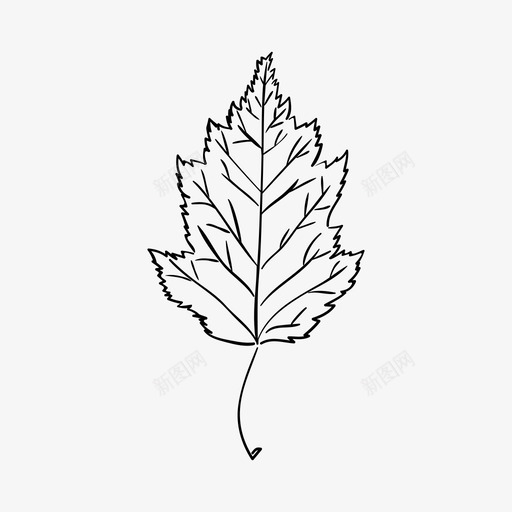 桦叶白桦叶秋天图标svg_新图网 https://ixintu.com 叶 树 桦叶 植物花 白桦叶 秋天 自然 颜色