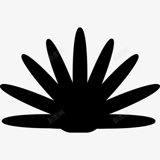 墨西哥龙舌兰植物剪影自然墨西哥人图标svg_新图网 https://ixintu.com 墨西哥人 墨西哥龙舌兰植物剪影 自然