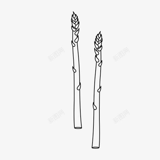 采购产品芦笋美食家蔬菜图标svg_新图网 https://ixintu.com 副食 水果蔬菜 烧烤食品 美食家 蔬菜 采购产品芦笋