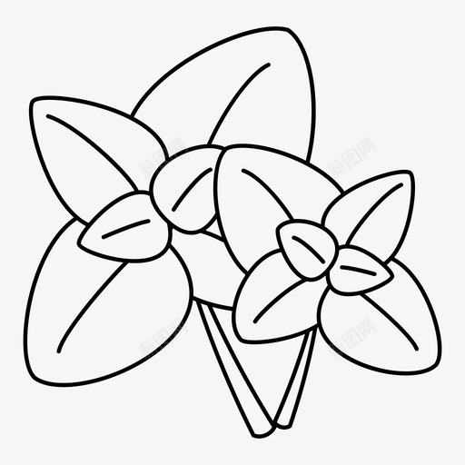 罗勒植物香蒜图标svg_新图网 https://ixintu.com 严重 信息 分析 图形 文件 植物 烹饪 罗勒 花园 草药 食物 香蒜