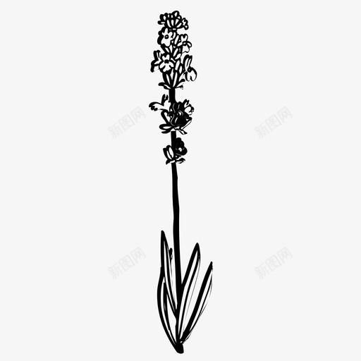 药草药用植物图标svg_新图网 https://ixintu.com 药用植物 药草