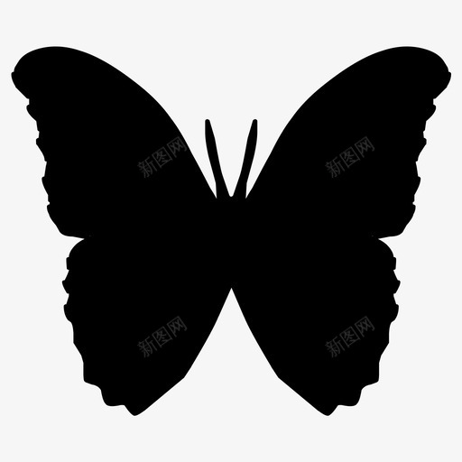蝴蝶重生飞蛾图标svg_新图网 https://ixintu.com 变态 帝王 昆虫 美丽 花园飞蛾 蝴蝶 蝴蝶轮廓 重生 飞蛾