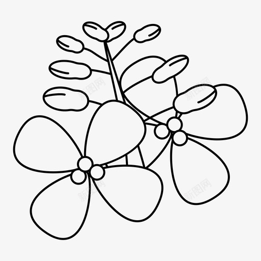 菜籽油芥末图标svg_新图网 https://ixintu.com 中国 光明 农业 卷心菜 植物 油 生物 芥末 草药 菜园 菜籽