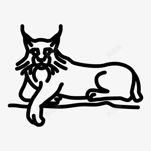 山猫反光眼野猫图标svg_新图网 https://ixintu.com 动物 反光眼 山猫 松鸡 森林 猫科动物 美洲山猫 软垫爪子 野猫