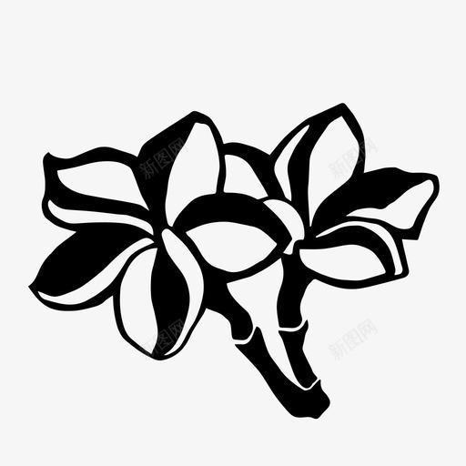 鸡蛋花美丽花图标svg_新图网 https://ixintu.com 植物 漂亮 美丽 自然 花 鸡蛋花