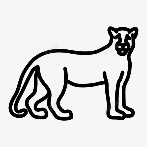 豹虎皮图标svg_新图网 https://ixintu.com 丛林猫 动物 山狮 皮 美洲狮 美洲豹 虎 豹 野生动物