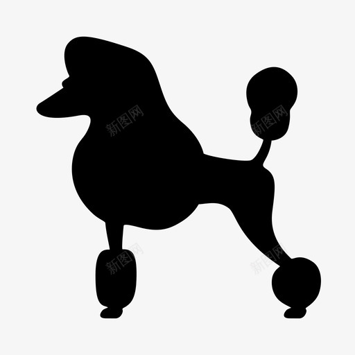 贵宾犬狗秀绒毛宠物图标svg_新图网 https://ixintu.com 动物剪影 小狗 狗秀 白色贵宾犬 纯种狗 绒毛宠物 贵宾犬