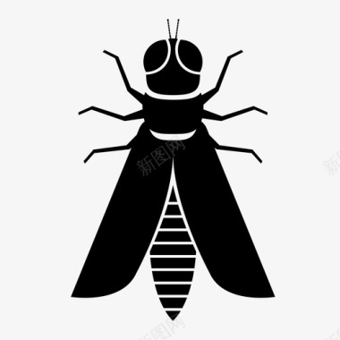 昆虫蟋蟀飞虫图标图标
