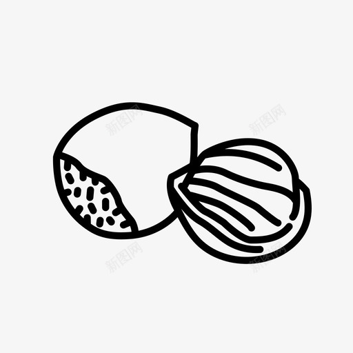 榛子食品仁图标svg_新图网 https://ixintu.com 仁 坚果 坚果壳 榛子 水果 食品
