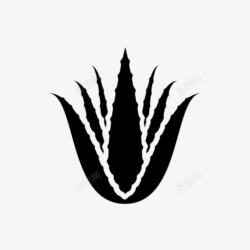 芦荟芦荟植物叶子图标svg_新图网 https://ixintu.com 叶子 芦荟 芦荟植物