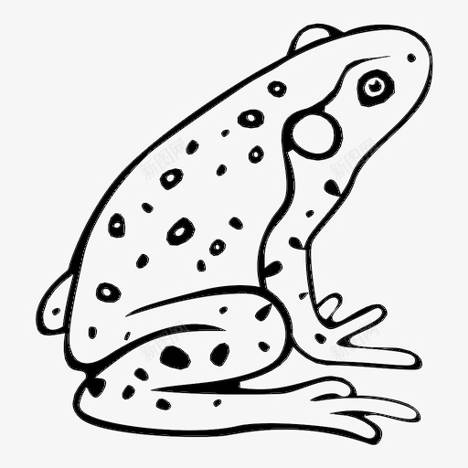 青蛙两栖动物水生爬行动物图标svg_新图网 https://ixintu.com 两栖动物 水生爬行动物 热带 蟾蜍 野生动物 青蛙