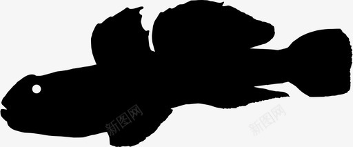 黑虎鱼动物大西洋图标svg_新图网 https://ixintu.com 动物 大西洋 海洋 海洋动物 黑虎鱼