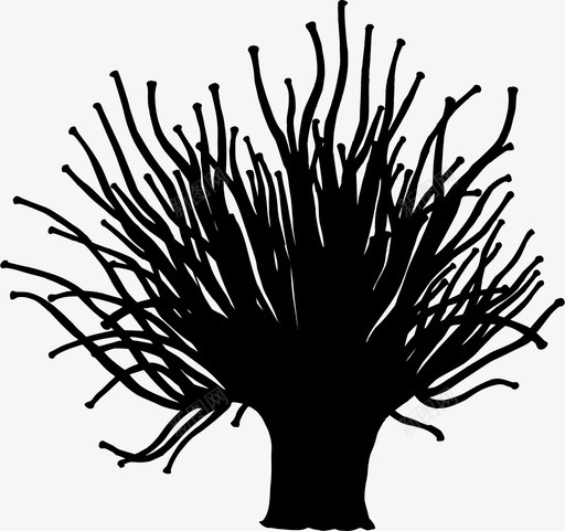 银莲花动物大西洋图标svg_新图网 https://ixintu.com 动物 大西洋 水螅 海洋 海洋动物 银莲花