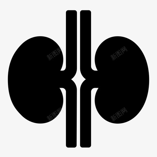 肾脏解剖学内脏图标svg_新图网 https://ixintu.com 内脏 医学 泌尿学 泌尿系统 肾脏 解剖学