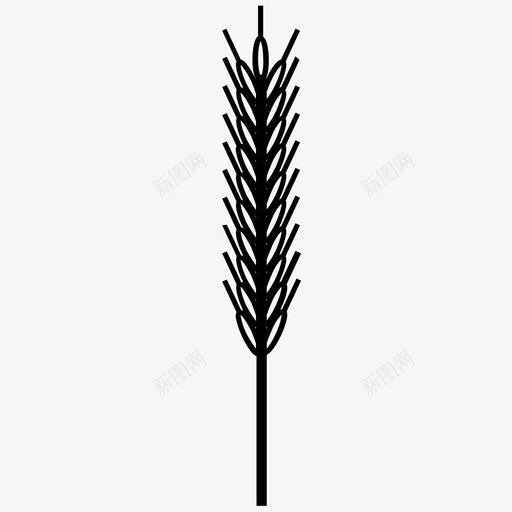 谷物麸皮胚芽图标svg_新图网 https://ixintu.com 可堆肥 小麦 燕麦 胚乳 胚芽 谷物 麸皮