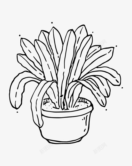 龙血树植物学手绘图标svg_新图网 https://ixintu.com 叶 手绘 植物 植物学 盆栽 龙血树