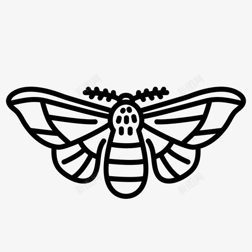 蛾子动物虫子图标svg_新图网 https://ixintu.com 动物 昆虫 生物 虫子 蛾子