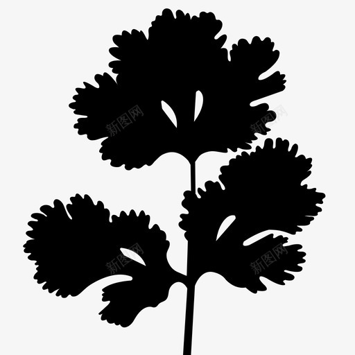 欧芹芳香香料图标svg_新图网 https://ixintu.com 叶子 植物标本室 欧芹 芳香 草本植物 蔬菜 香料
