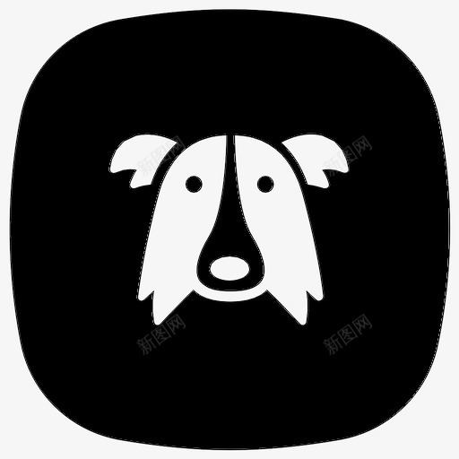 边境牧羊犬动物狗图标svg_新图网 https://ixintu.com 动物 宠物 狗 边境牧羊犬