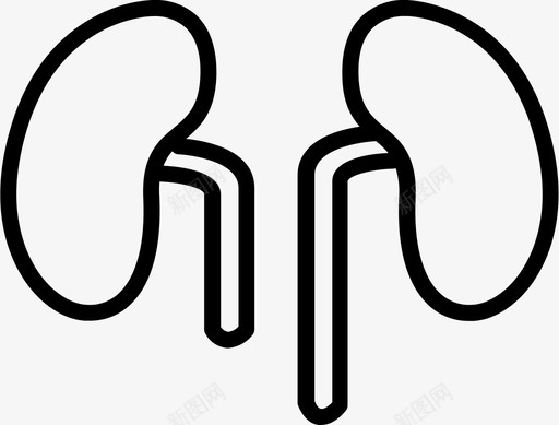 肾脏人器官图标svg_新图网 https://ixintu.com 人 医学 器官 肾脏