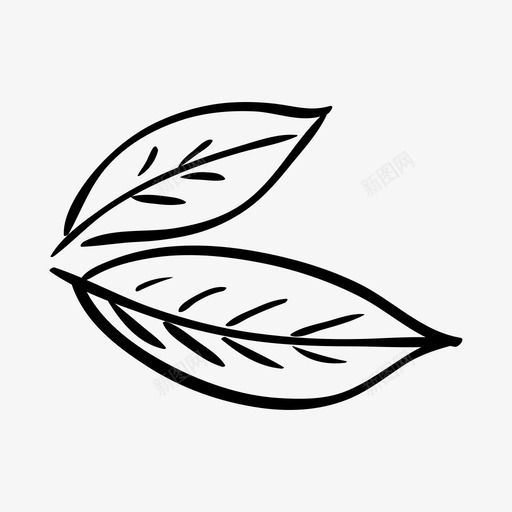 月桂叶厨师植物图标svg_新图网 https://ixintu.com 厨师 月桂叶 植物 汤 香料