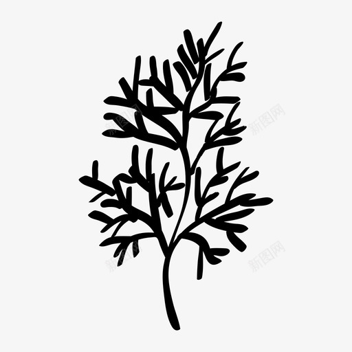 莳萝烹饪药草图标svg_新图网 https://ixintu.com 味道 烹饪 药草 莳萝 配料 香料