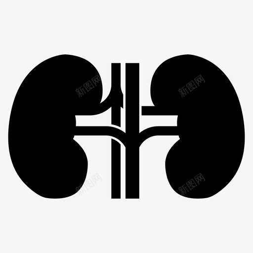 肾脏器官解剖学图标svg_新图网 https://ixintu.com 器官 肾脏 解剖学