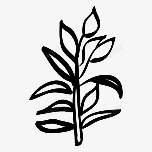 鼠尾草芳香草本植物食品图标svg_新图网 https://ixintu.com 健康 芳香草本植物 食品 香料 鼠尾草