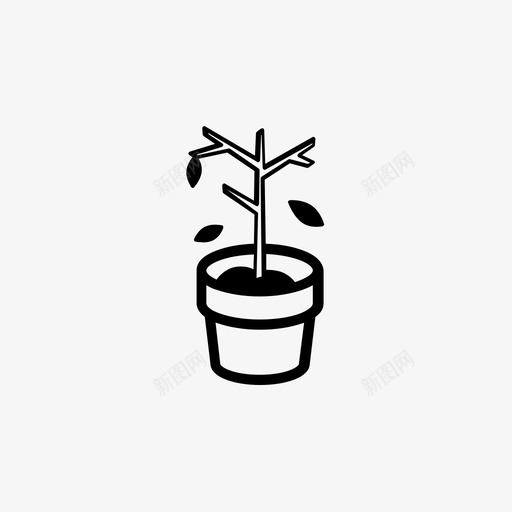 盆栽干树水果花园植物图标svg_新图网 https://ixintu.com 室内植物 水果 盆栽干树 盆栽树木 花园植物