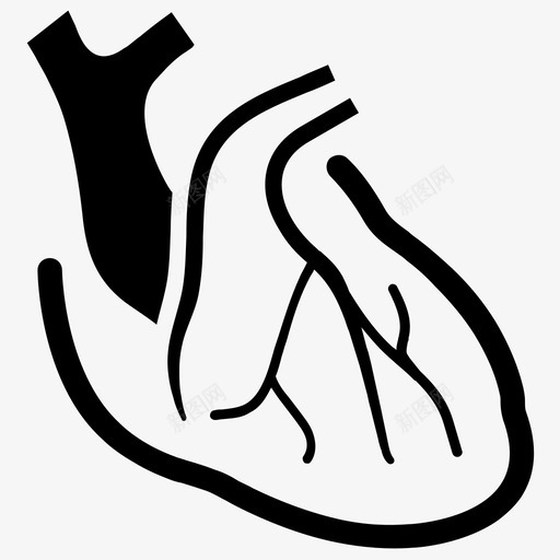 心脏病学解剖学心脏图标svg_新图网 https://ixintu.com 人体 医疗保健图标 心脏 心脏病学 脉搏 解剖学