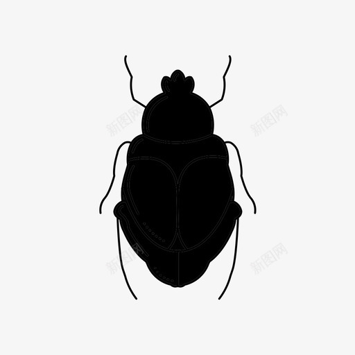 虫子甲虫错误图标svg_新图网 https://ixintu.com 圣甲虫 甲虫 神秘的用户体验科学 虫子 错误