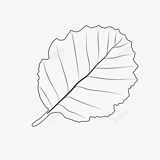 桤木叶风景树叶图标svg_新图网 https://ixintu.com 单叶 树叶 桤木叶 简单树叶 风景