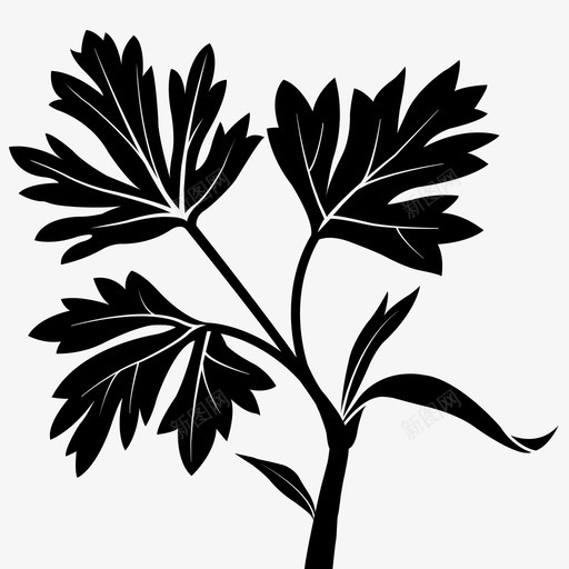 高山无尾草植物学绿色图标svg_新图网 https://ixintu.com 叶 植物 植物学 植物标本室 绿色 自然 高山无尾草