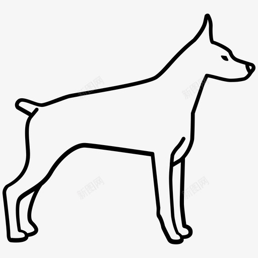 杜宾狗家养图标svg_新图网 https://ixintu.com 守卫 家养 杜宾 狗 狗轮廓 猎犬