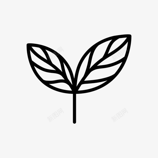 药草花园绿叶图标svg_新图网 https://ixintu.com 植物 绿叶 花园 药草