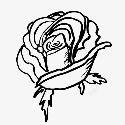 玫瑰花素描图标svg_新图网 https://ixintu.com 夏天 我妻子的收藏 春天 玫瑰 玫瑰纹身 素描 花