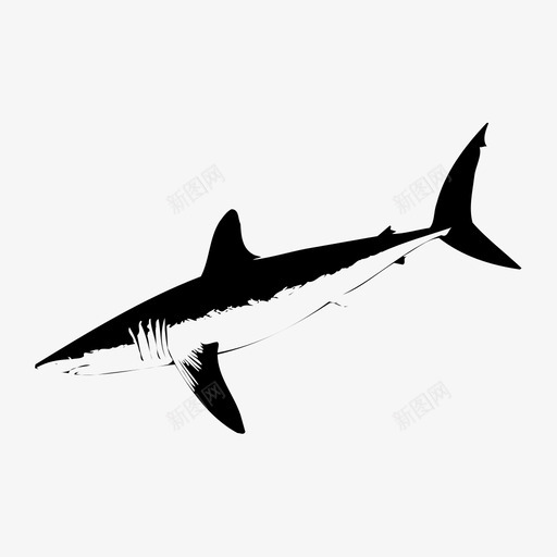 SHARKsvg_新图网 https://ixintu.com SHARK