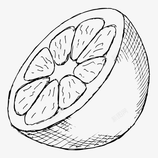 橘子柑橘水果图标svg_新图网 https://ixintu.com 手绘 柑橘 柠檬 橘子 水果 素描