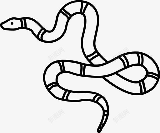 珊瑚蛇危险致命图标svg_新图网 https://ixintu.com 东方 危险 爬行动物两栖类概述 珊瑚蛇 致命 蛇