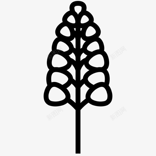 羽扇豆烹饪草药图标svg_新图网 https://ixintu.com 植物 烹饪 烹饪原料概述 羽扇豆 草药