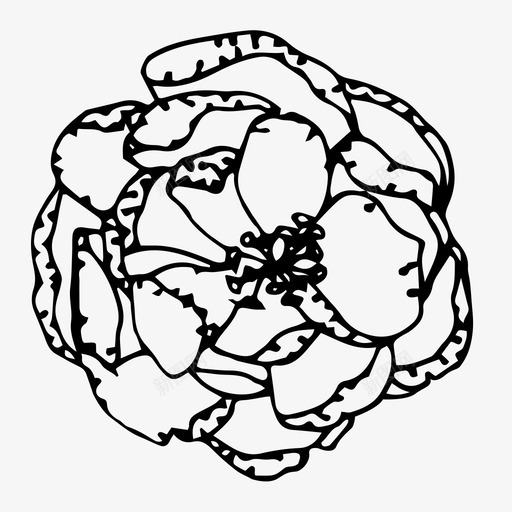 花说明性线条图标svg_新图网 https://ixintu.com 线条 花 花瓣 说明性 说明性花