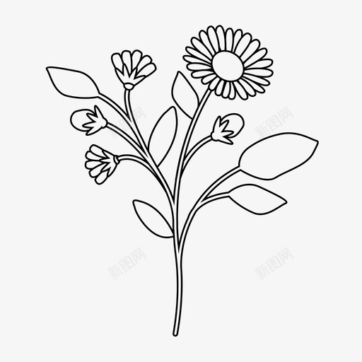 花花束雏菊图标svg_新图网 https://ixintu.com 自然 花 花束 雏菊