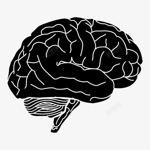 大脑解剖学人脑图标svg_新图网 https://ixintu.com 人脑 大脑 头脑 智力 解剖学