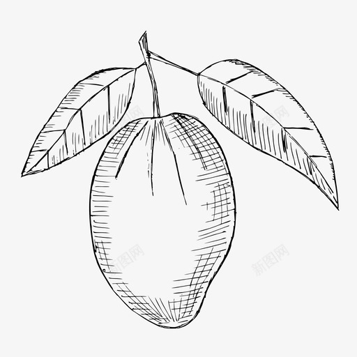 芒果水果手绘图标svg_新图网 https://ixintu.com 手绘 水果 素描 芒果